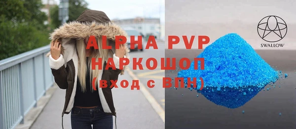 мдпв Вяземский