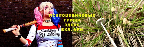 мдпв Вяземский