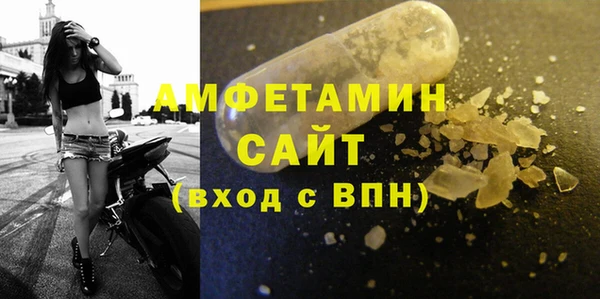 мдпв Вяземский