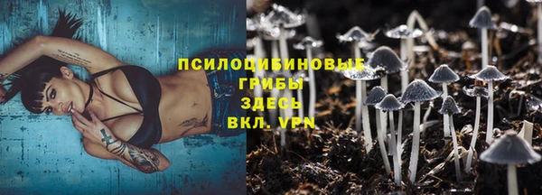 хмурый Вязники