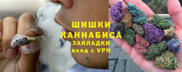 мдпв Вяземский