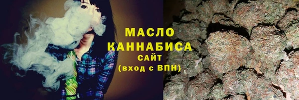 мдпв Вяземский