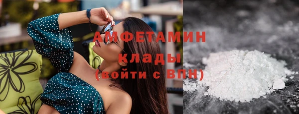 мдпв Вяземский
