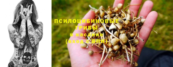 мдпв Вяземский