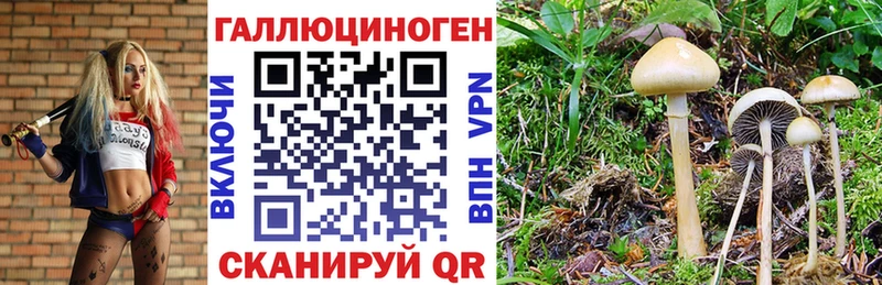 Галлюциногенные грибы мухоморы  купить  цена  Одинцово 